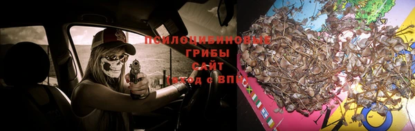 герыч Богородск