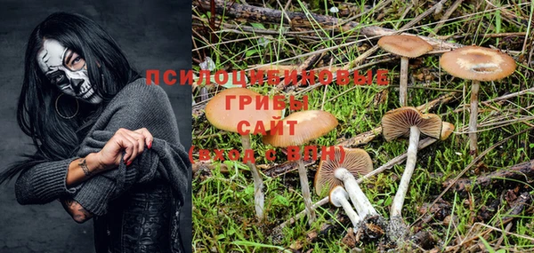 круглые Богданович