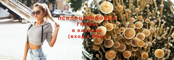 круглые Богданович