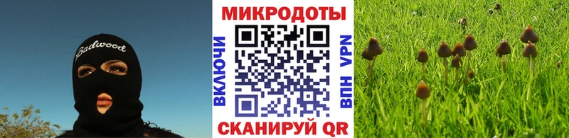 наркотики Люберцы Галлюциногенные грибы мицелий